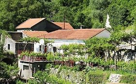 Country House Dajkovic